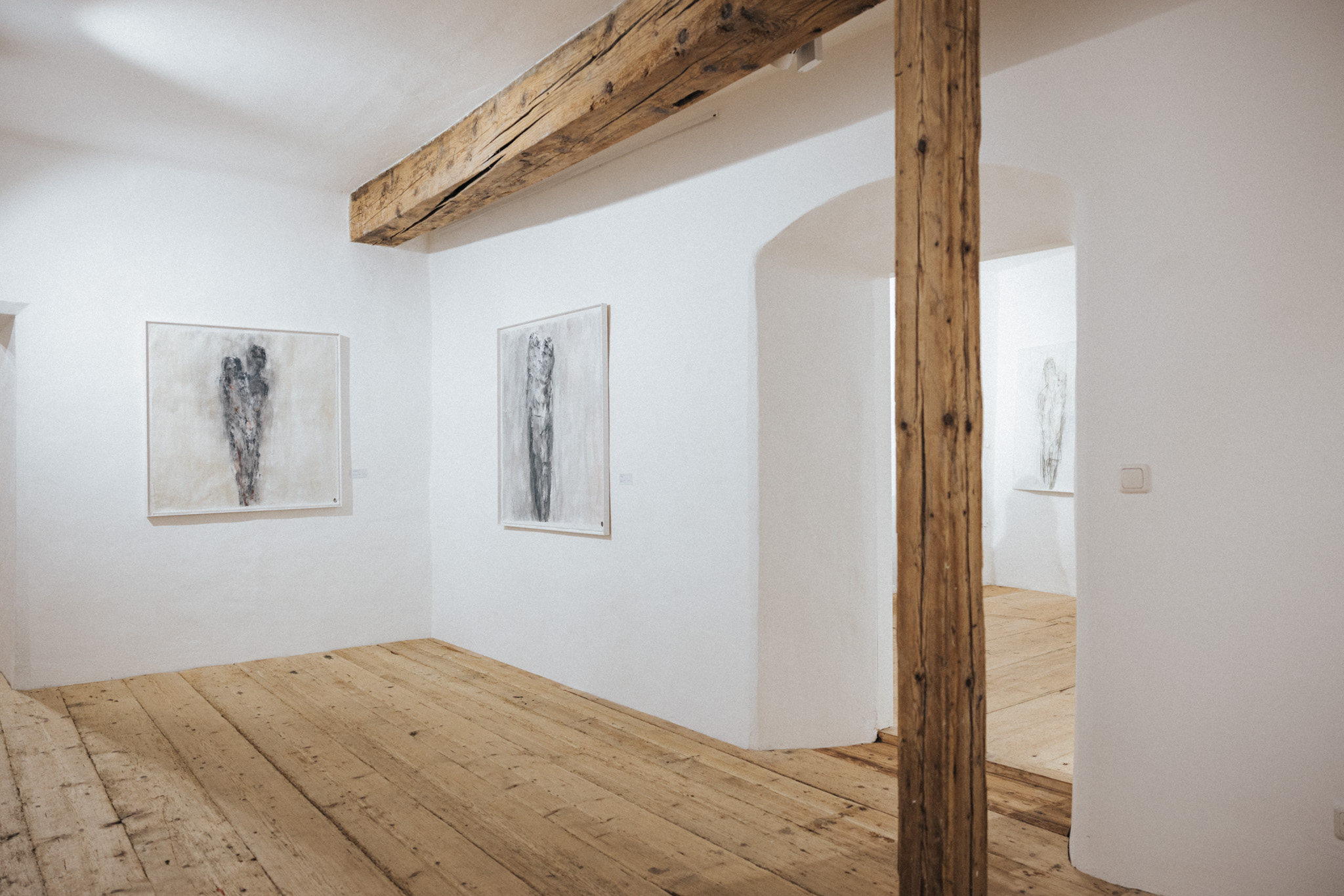 Eröffnung Ausstellung Peter Lohmeyer Kunstraum Burg Golling@Zuparino Niko Zuparic 4166 | Zuparino - Niko Zuparic
