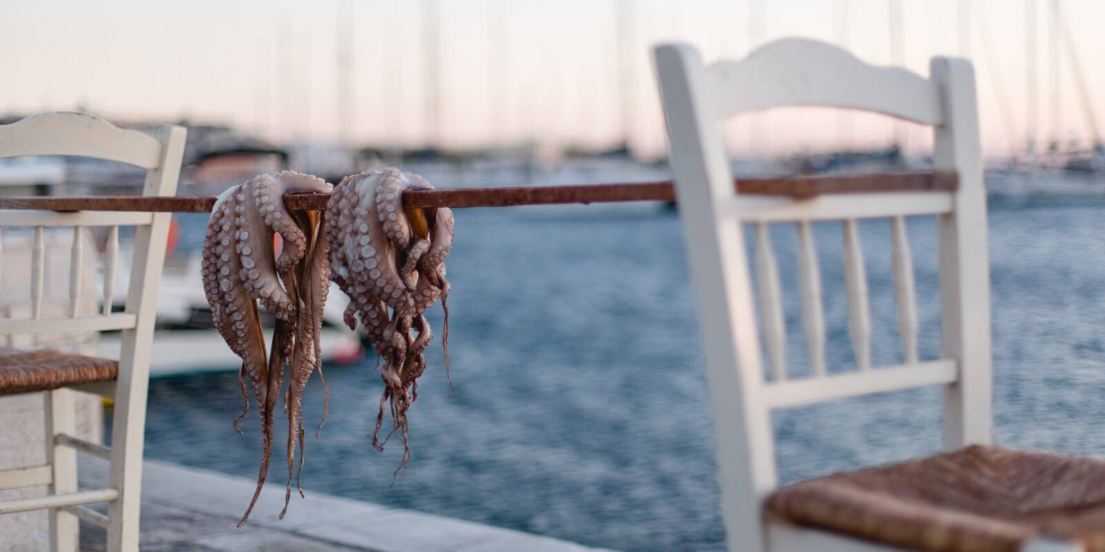 Kykladenurlaub - Naxos 14 Octopus Zum Trocknen