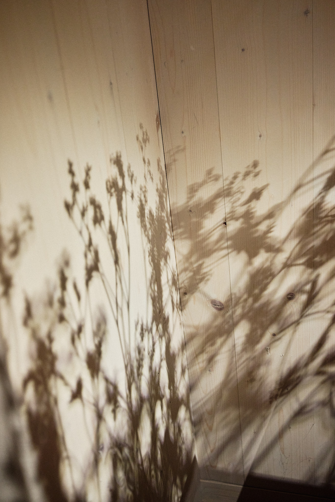 Projekt Haus Am See – Interiorfotografie &Amp; Lichtdesign In Salzburg | Niko Zuparic 33 Schlafzimmer Im Haus Am See – Interior Design Von Christina Tassioglou, Lichtkonzept Von Martina Hirschberger.