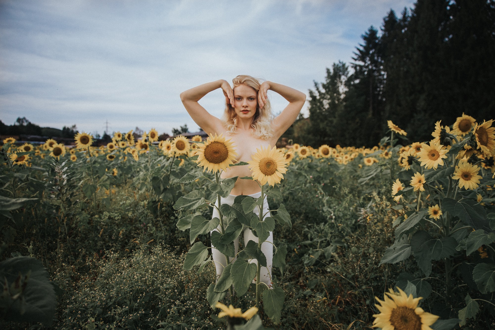 Natur Portrait - Fotoshooting im Sonnenblumenfeld